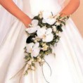 /album/ramos-de-novia/n-jpg/