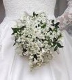 /album/ramos-de-novia/%c3%b1%c3%b1%c3%b1-jpg/