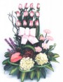 /album/para-congresos/big-to14-c-jpg/